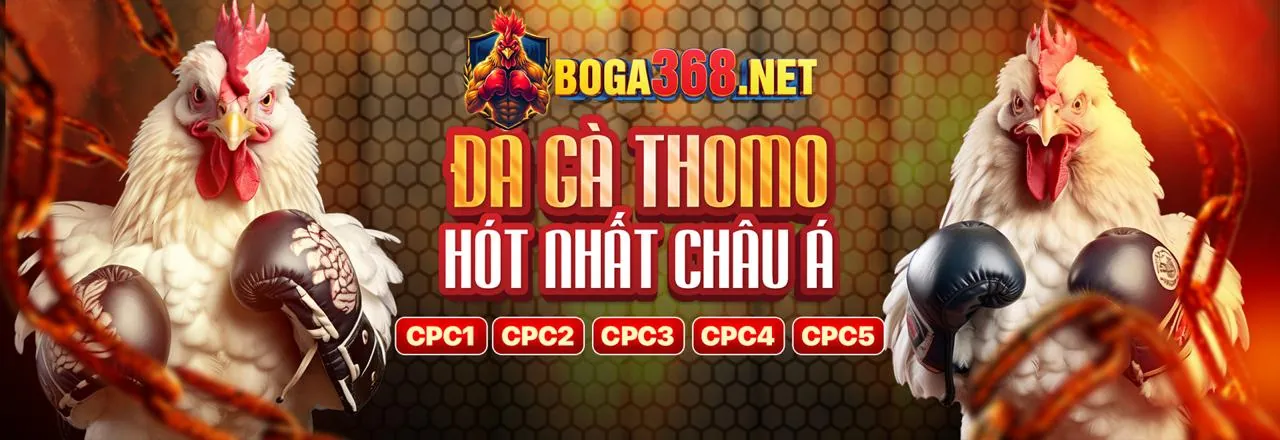Hình ảnh giới thiệu new88bi casino 2026 cho người mới bắt đầu