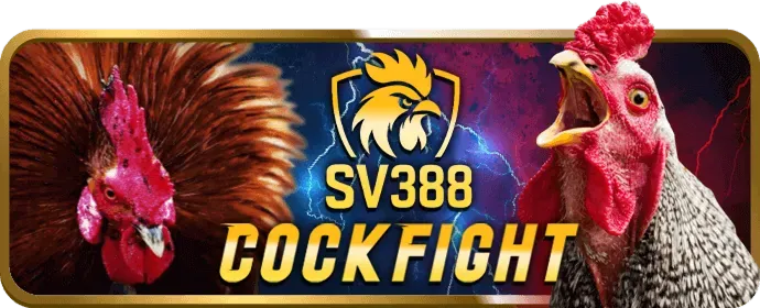 Chương trình hoàn trả hàng ngày tại new88bi Casino