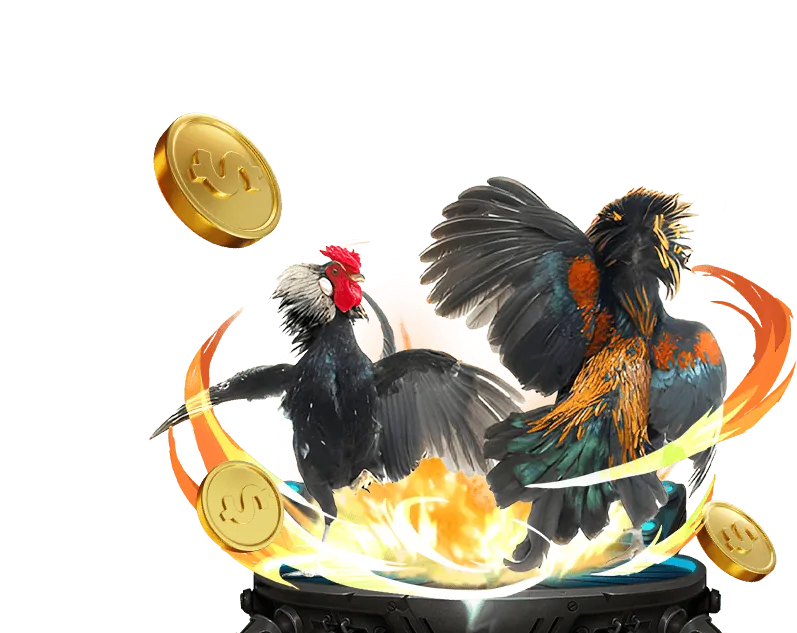 Hình ảnh cá cược trực tiếp sôi động tại new88bi casino